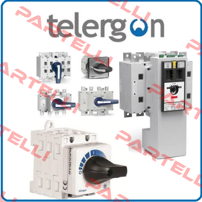 S5-04003PC0 Telergon