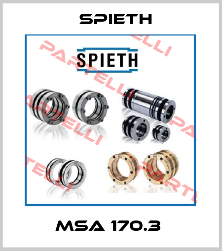 MSA 170.3  Spieth