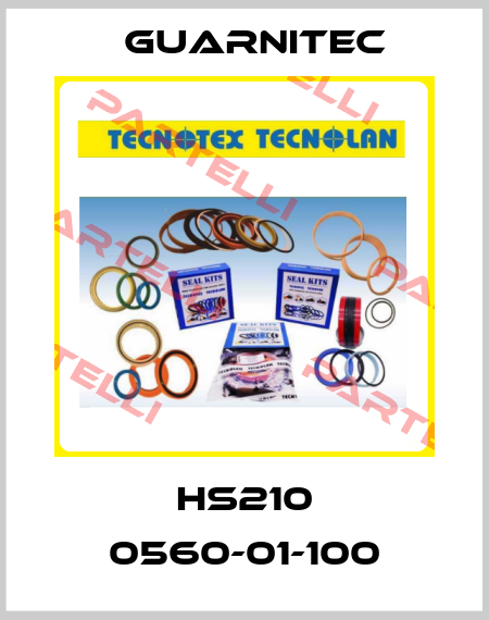 HS210 0560-01-100 TECNOTEX