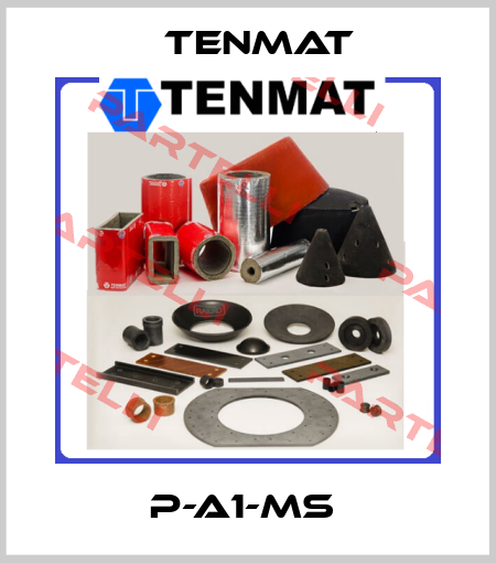 P-A1-MS  TENMAT
