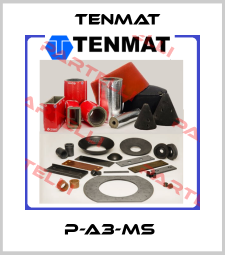 P-A3-MS  TENMAT