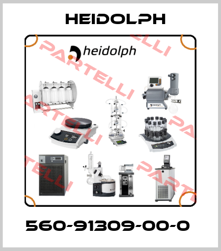 560-91309-00-0  Heidolph