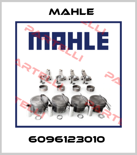 6096123010  Mahle