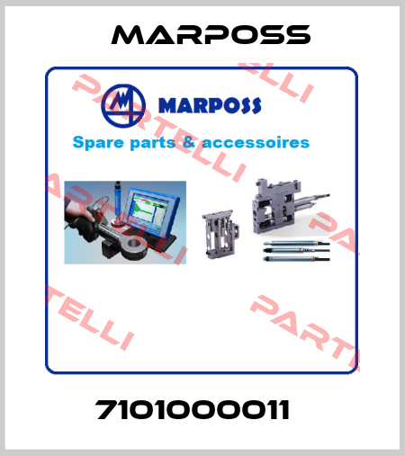 7101000011   Marposs