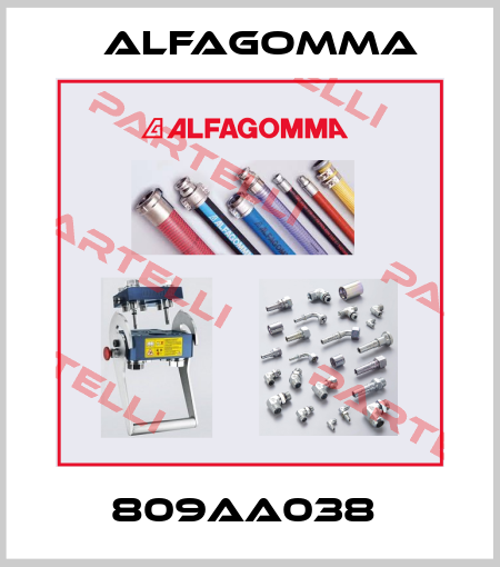 809AA038  Alfagomma