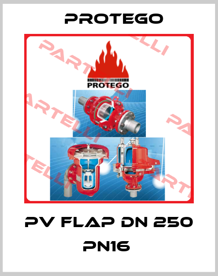 PV Flap DN 250 PN16  Protego