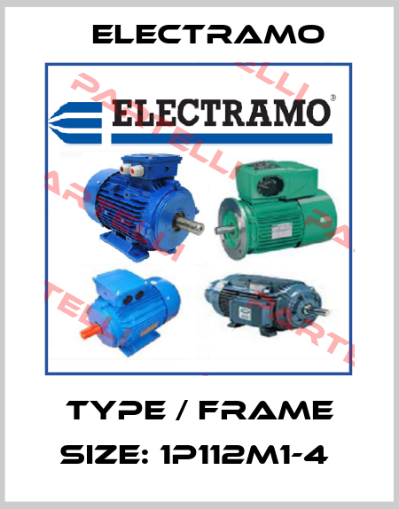 Type / Frame size: 1P112M1-4  Electramo