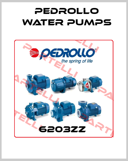 6203ZZ  Pedrollo Water Pumps