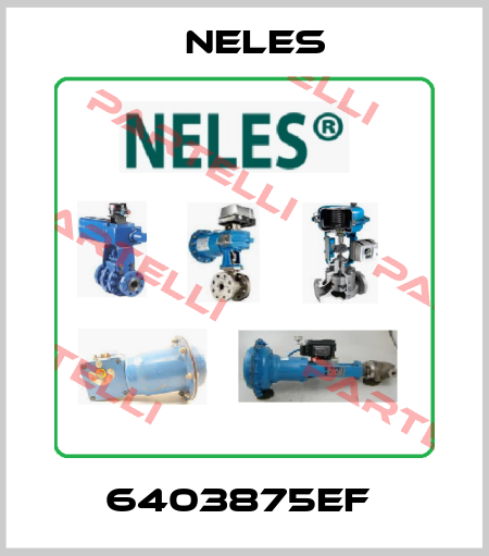 6403875EF  Neles