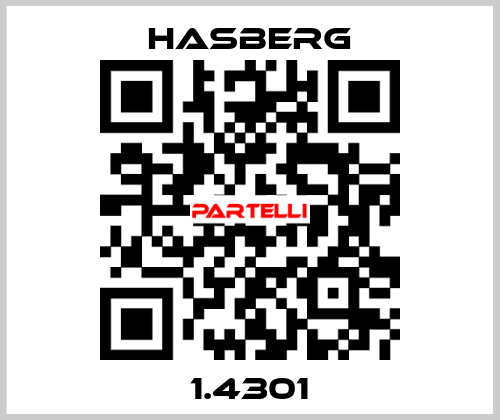 1.4301  Hasberg