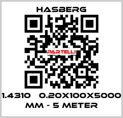 1.4310   0.20X100X5000 MM - 5 METER Hasberg