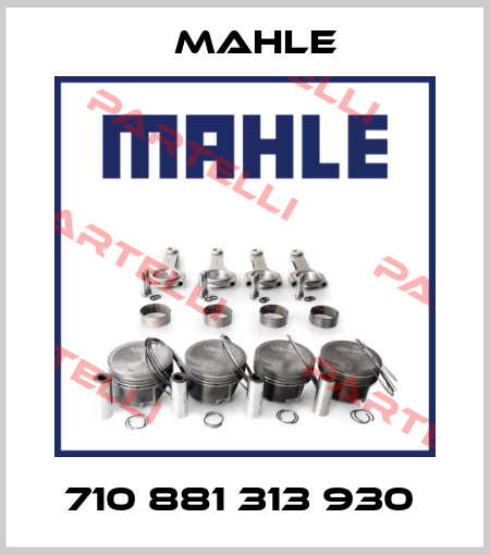 710 881 313 930  Mahle