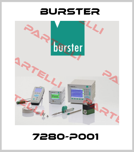 7280-P001  Burster