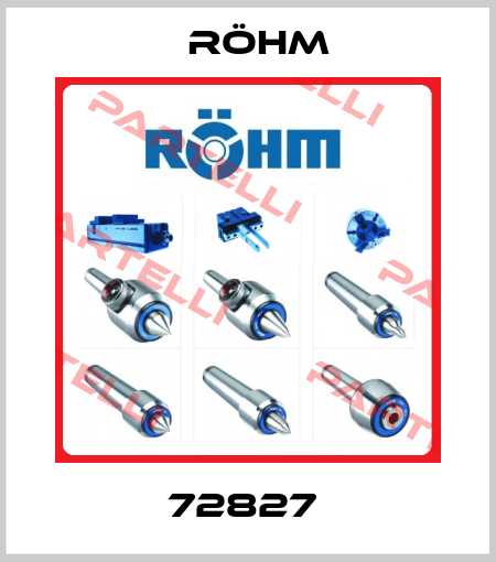72827  Röhm
