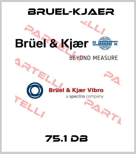 75.1 dB  Bruel-Kjaer