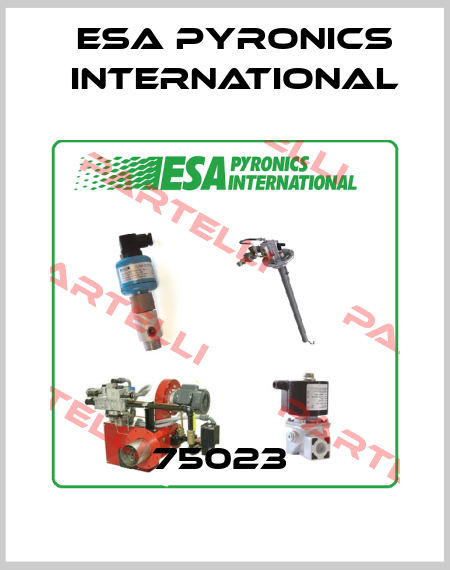 75023  ESA Pyronics International