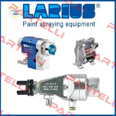 8000 VALVE  Larius