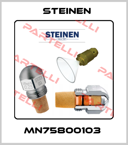 MN75800103  Steinen