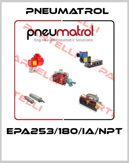 EPA253/180/IA/NPT  Pneumatrol
