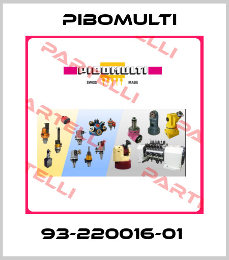 93-220016-01  Pibomulti