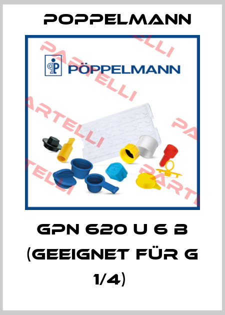 GPN 620 U 6 B (geeignet für G 1/4)  Poppelmann