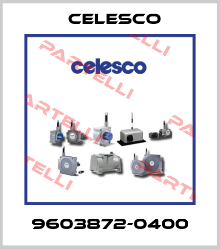 9603872-0400 Celesco