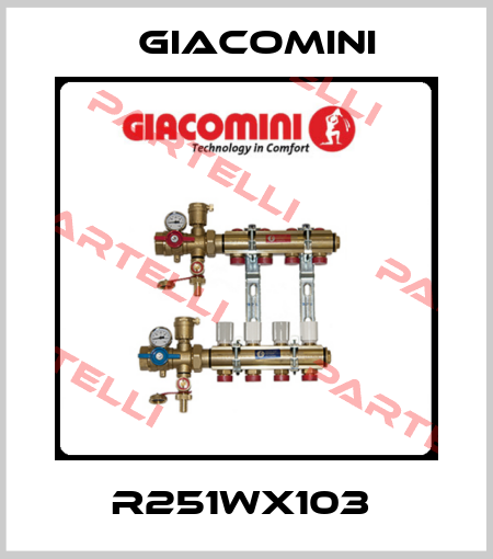 R251WX103  Giacomini