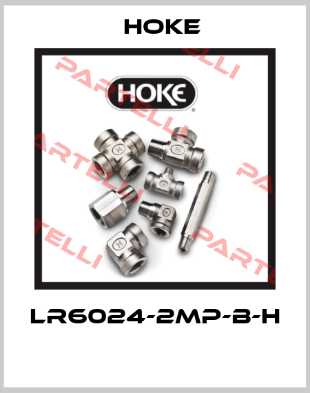 LR6024-2MP-B-H  Hoke