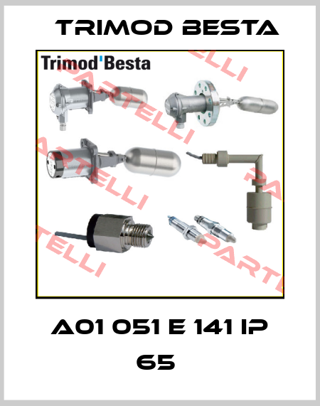 A01 051 E 141 IP 65  Trimod Besta