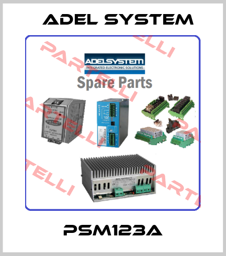 PSM123A ADEL System