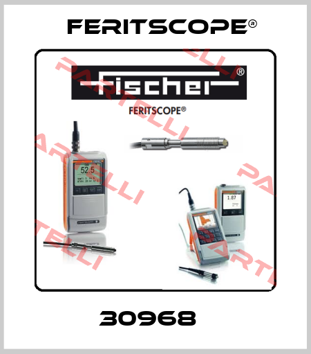 30968   Feritscope®