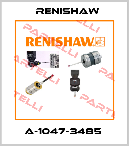 A-1047-3485  Renishaw