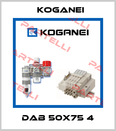 DAB 50X75 4 Koganei