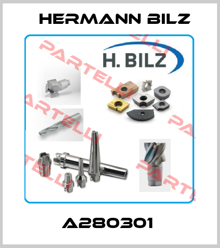 A280301  Hermann Bilz