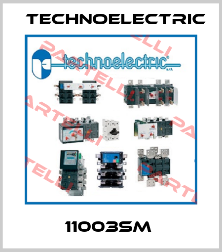 11003SM  Technoelectric