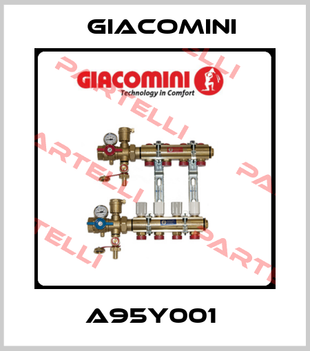 A95Y001  Giacomini