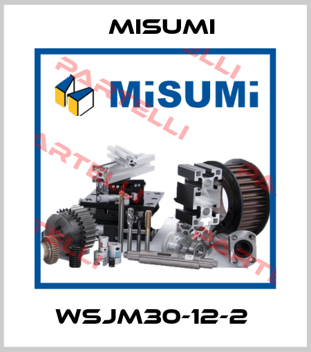 WSJM30-12-2  Misumi