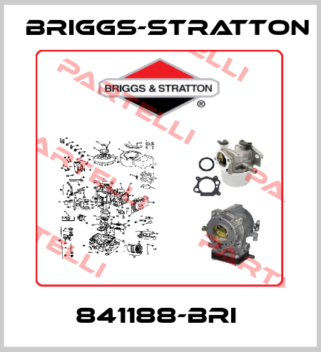 841188-BRI  Briggs-Stratton