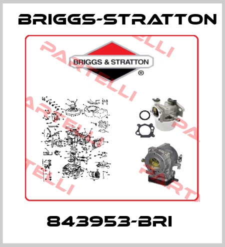 843953-BRI  Briggs-Stratton