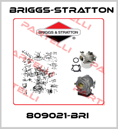 809021-BRI  Briggs-Stratton