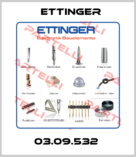 03.09.532  Ettinger
