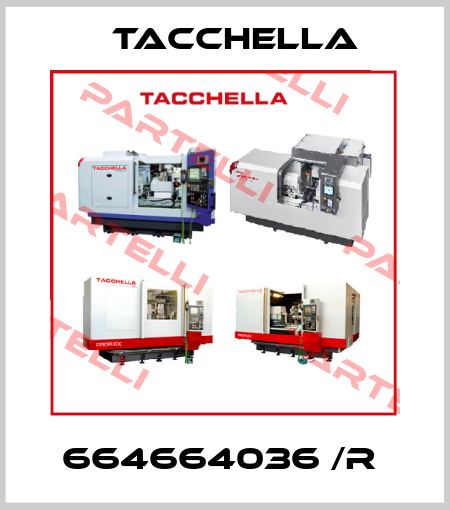 664664036 /R  Tacchella