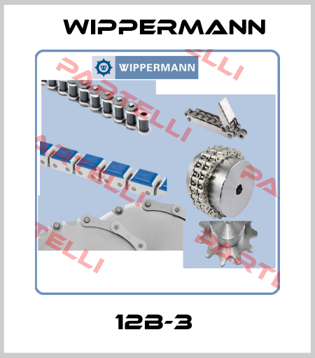 12B-3  Wippermann