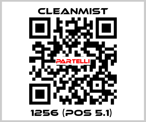 1256 (pos 5.1)  CleanMist