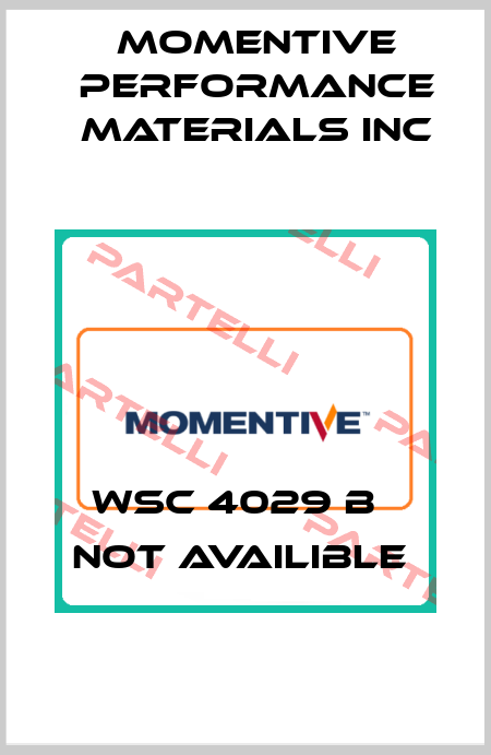 WSC 4029 B   not availible  Momentive Performance Materials Inc