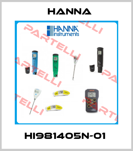 HI981405N-01  Hanna