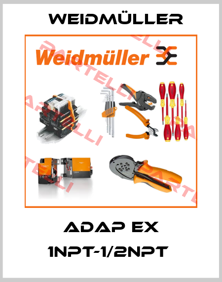 ADAP EX 1NPT-1/2NPT  Weidmüller