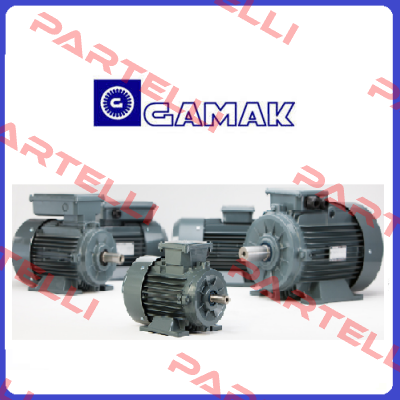 AGM2E 80 4B  (B3)  Gamak