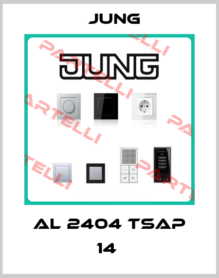 AL 2404 TSAP 14  Jung