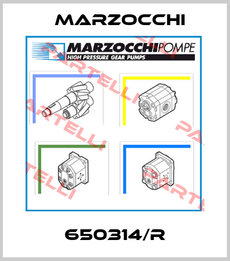 650314/R Marzocchi